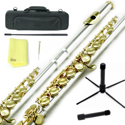 Sky Closed Hole C Flute with Lightweight Case, Cleaning Rod, Cloth, Joint Grease and Screw Driver - Silver Gold   